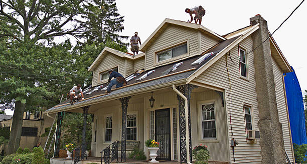 Best Storm Damage Roof Repair  in Marion, KS